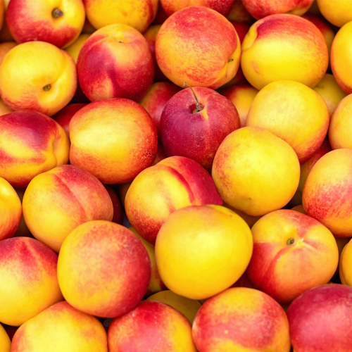 Plateau de 2 Kgs nectarines  (FRANCE)