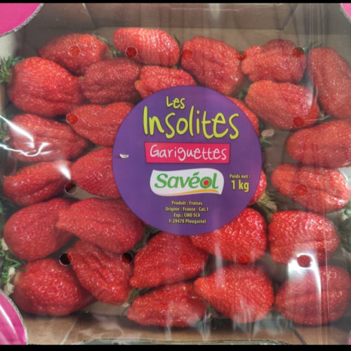 Fraises Savéol Insolites 1 kg Gariguette