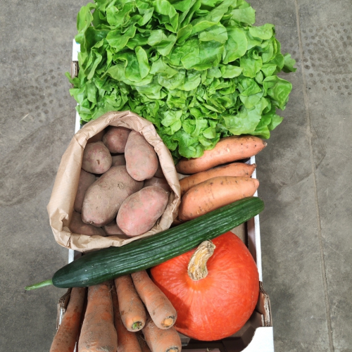 Petit Panier de Légumes
