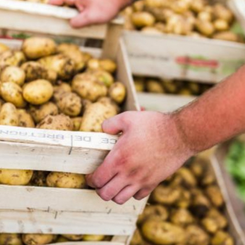 Pomme de terre Nouvelles 3kg