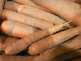 Carotte  1/2 Sable    (Le Colis  de 5 Kgs )