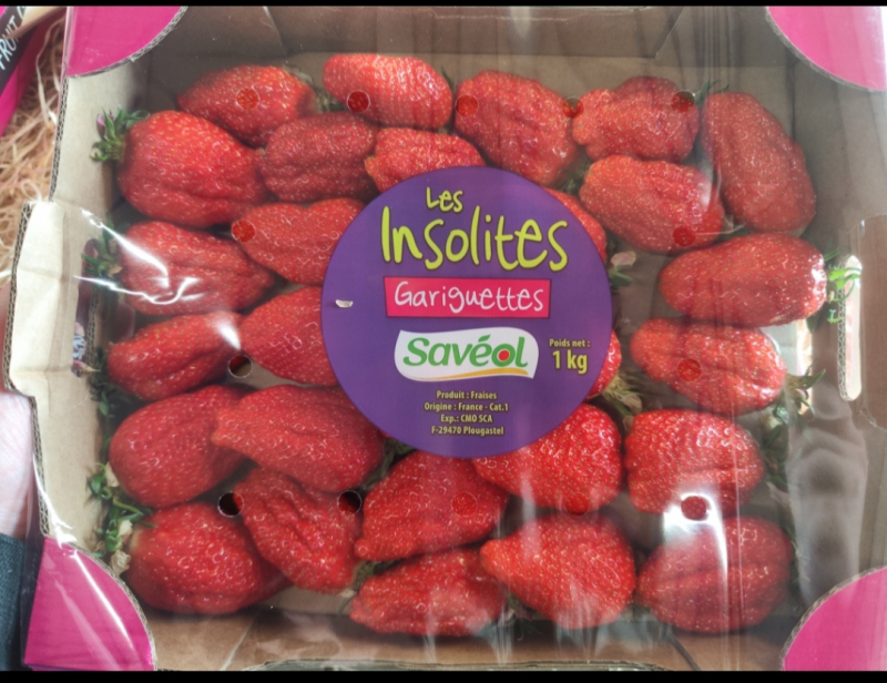 Fraises Savéol Insolites 1 kg Gariguette