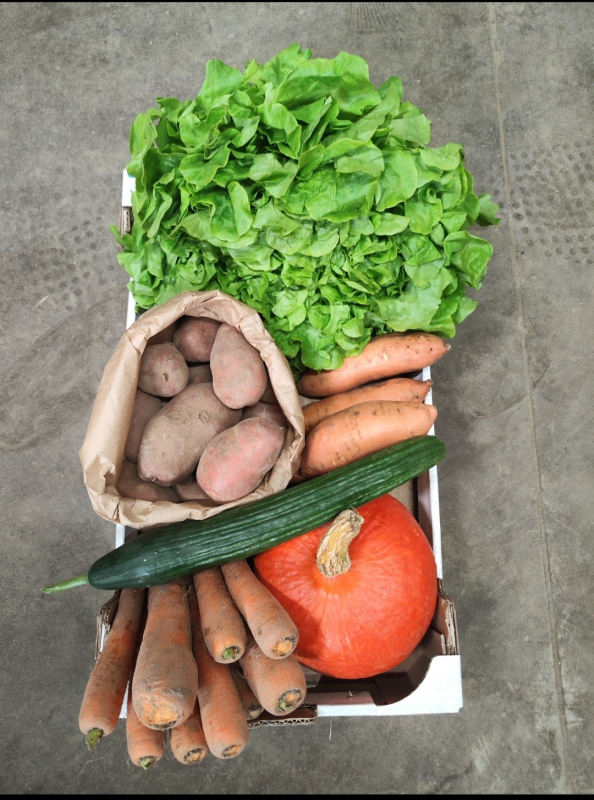 Petit Panier de Légumes