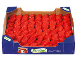 Fraise de Plougastel  Plateau de 800 grs EXTRA  .