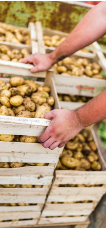 Pomme de terre Nouvelles 3kg